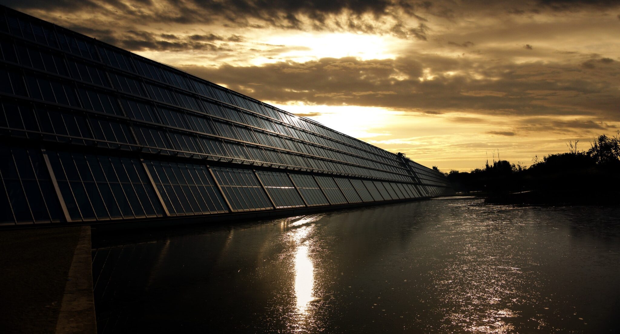 Regulierungsbehörde will schnelles Ende der Netzeinspeisung von Solarmodulen